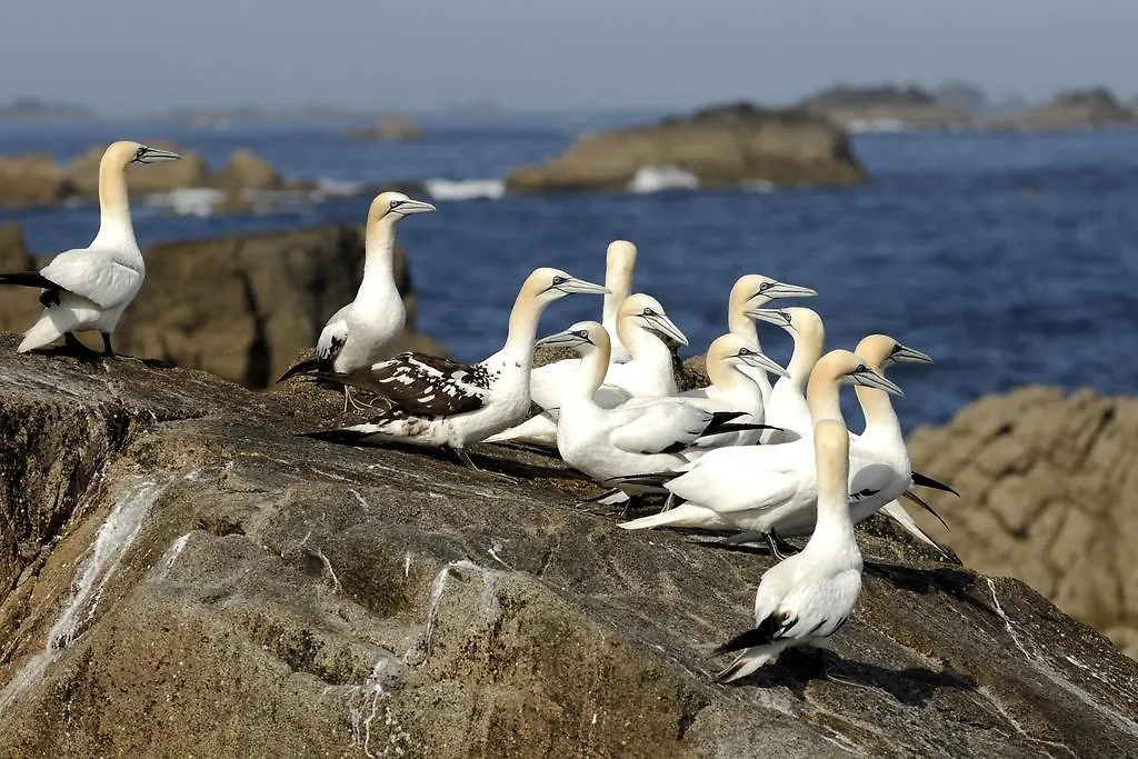 Logis Hotel Ker Mor Perros-Guirec